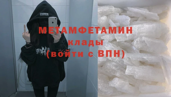 сатива Инта