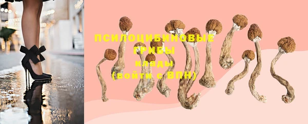 соль курить ск Иннополис