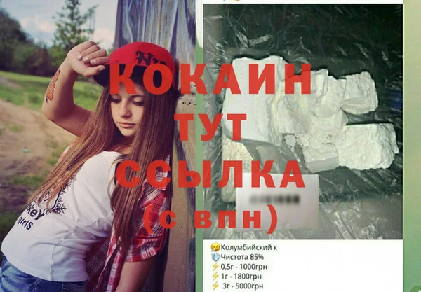 сатива Инта