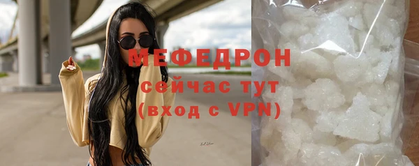 сатива Инта