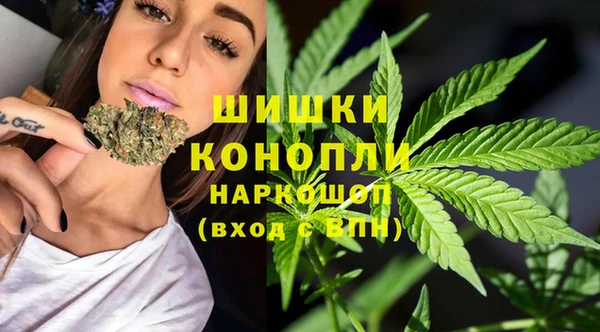ALPHA PVP Каменногорск