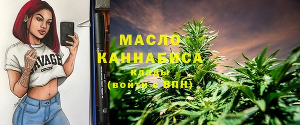 сатива Инта