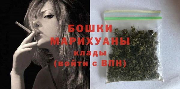 сатива Инта