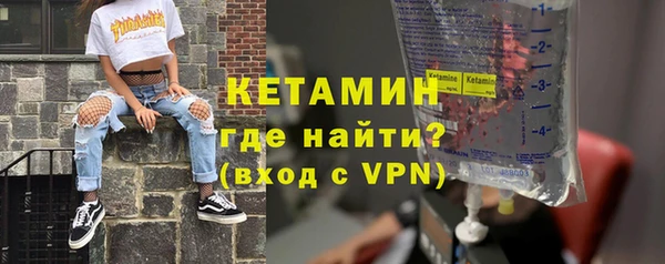 сатива Инта