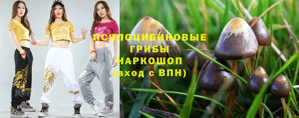скорость Фёдоровский