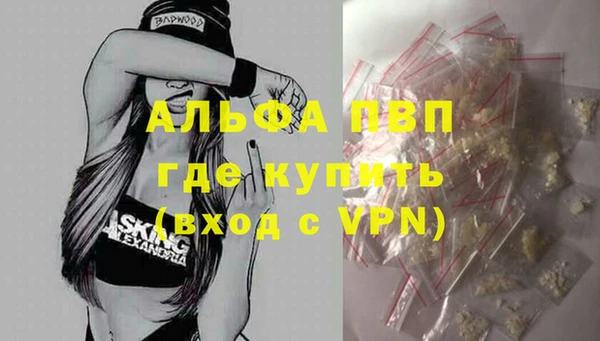 сатива Инта
