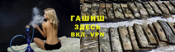 сатива Инта